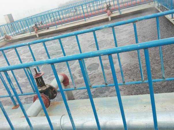 羅茨風(fēng)機(jī)污水處理案例 羅茨風(fēng)機(jī)污水處理案例