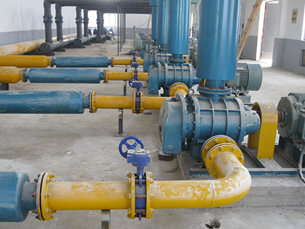 沼氣輸送羅茨風機 化工行業(yè)用羅茨風機沼氣輸送案例(圖1)