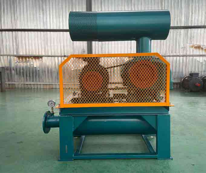 密集型羅茨風(fēng)機(jī) 羅茨風(fēng)機(jī)廠家發(fā)貨云南鑫仟順XQSSR120L羅茨真空泵(圖1)